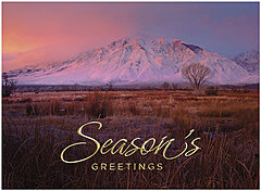 Season's Sunrise H2971G-AAA